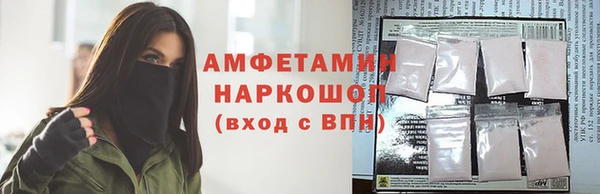 шишки Краснослободск