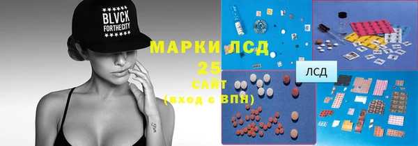мет Алексин