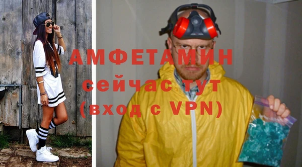 мет Алексин