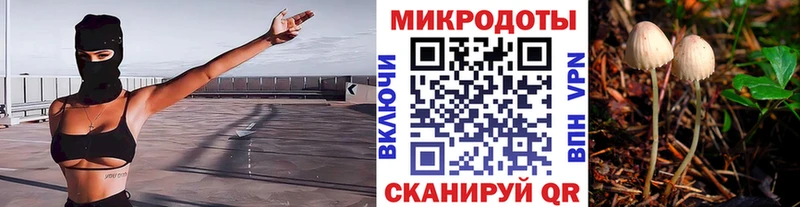 Галлюциногенные грибы мицелий  Пермь 